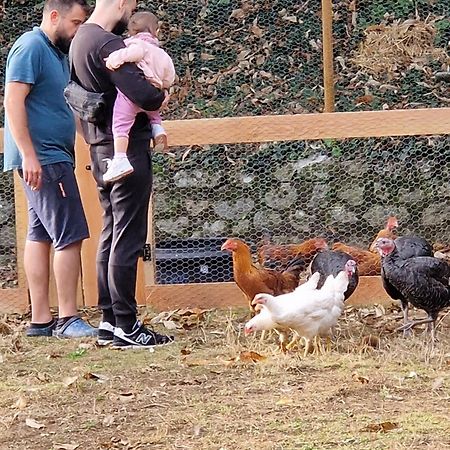 Gite Le Coutelier Asperjoc Εξωτερικό φωτογραφία